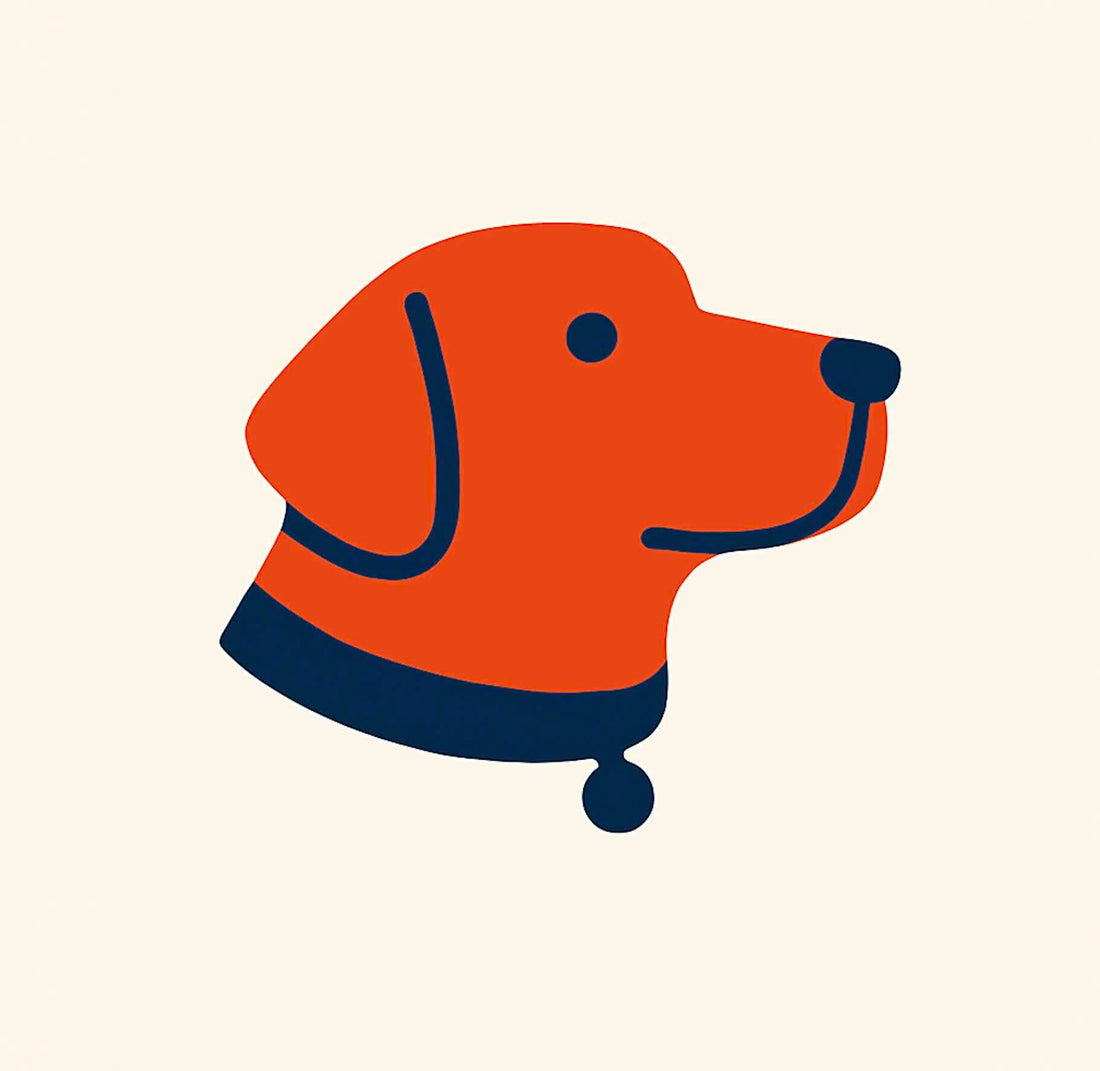 Why Senior Dogs Get Stiff After Sleeping And How To Help