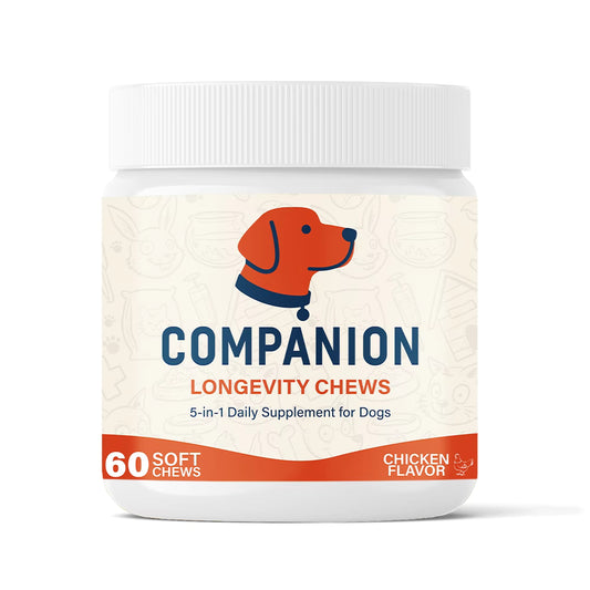 Companion 5-in-1 Longevity Chews for Dogs — Skin & Coat, Mobility, Allergy, Digestion, Immunity & Healthy Aging