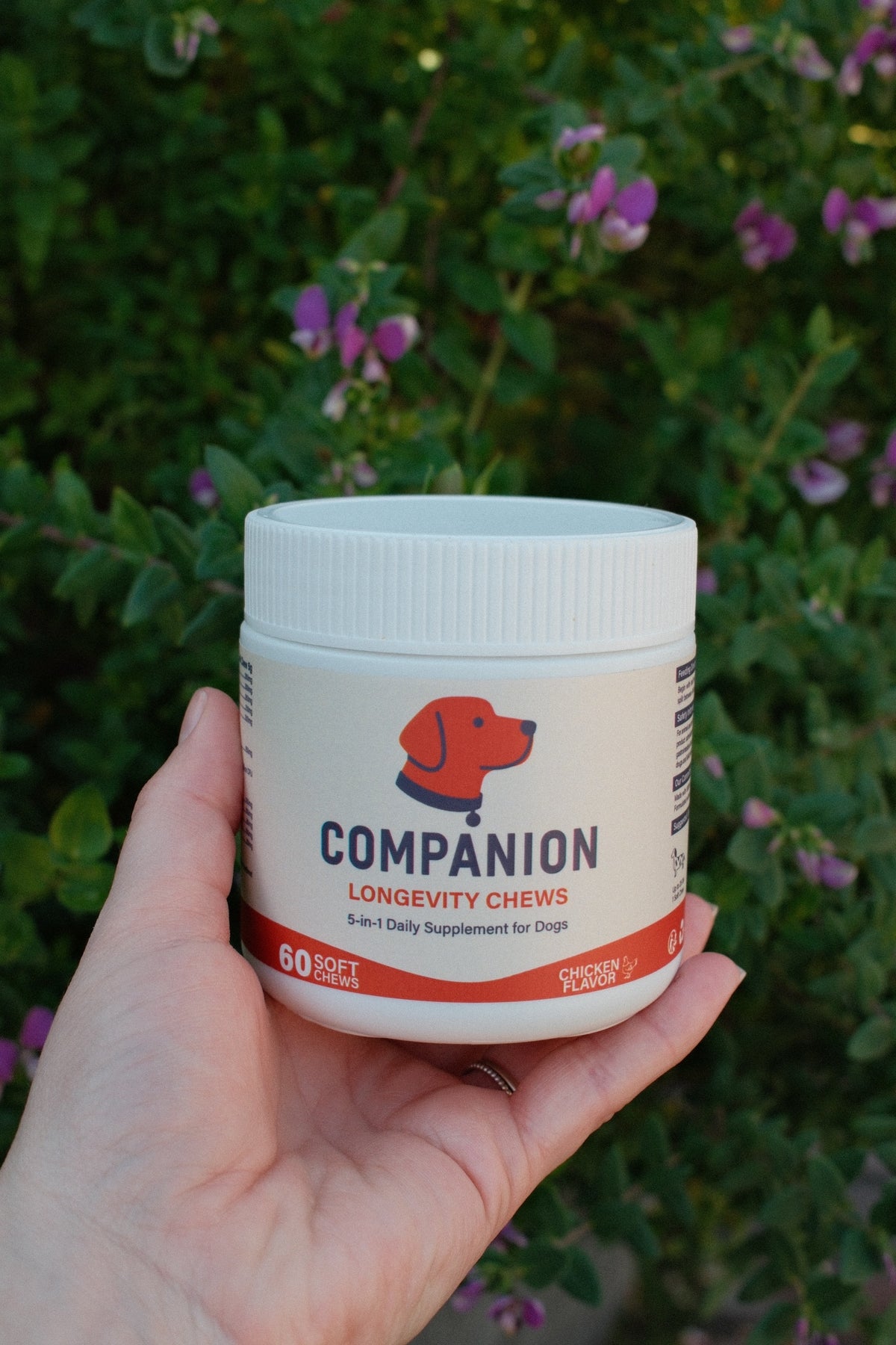 Hand holding a container of 'Companion Longevity Chews' with a blurred green and purple plant background