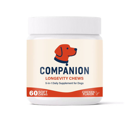 5-in-1 Longevity Chews for Dogs