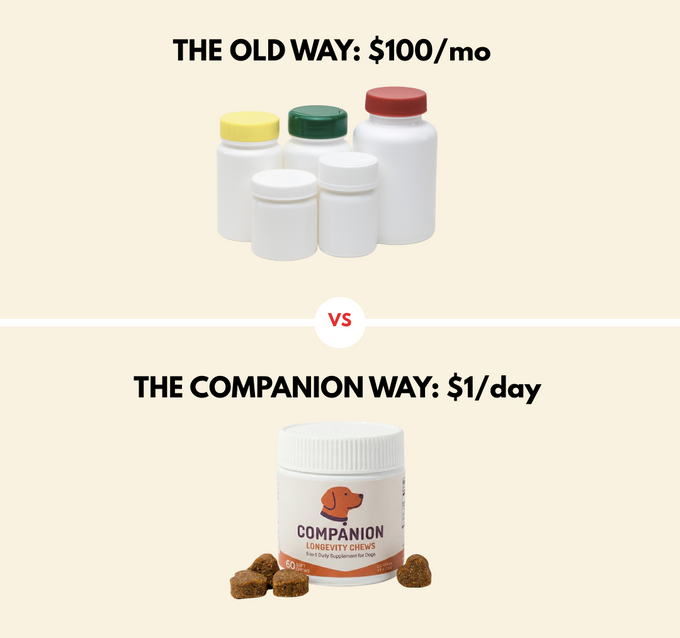 Companion chews — $29.99 per month for complete coverage