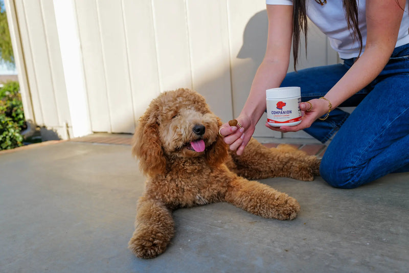 Woman hugging golden retriever with Companion wellness chews